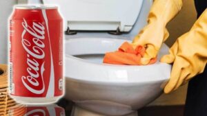 thông bồn cầu bị tắc bằng Coca-Cola
