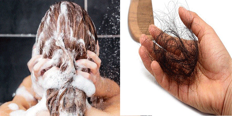 Nguyên nhân khiến bồn cầu bị tắc do tóc rụng