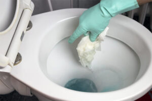Bồn Cầu Thoát Nước Chậm