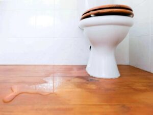nguyên nhân chính dẫn đến bồn cầu bỉ rỉ nước